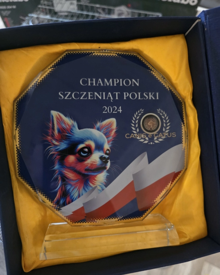 Statuetka Chempiona Szczeniąt Polski 2024